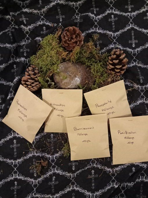 Mélange plantes divers 