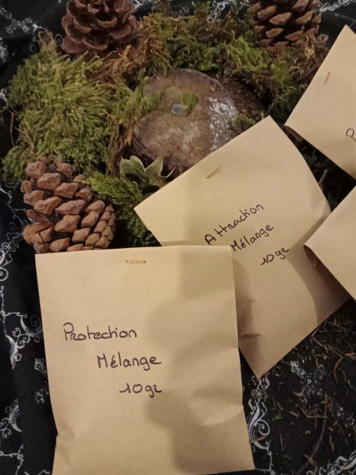 Mélange plantes divers 