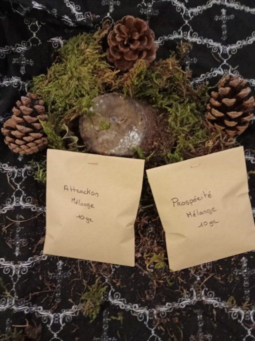 Mélange plantes divers 