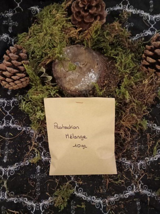 Mélange plantes divers 