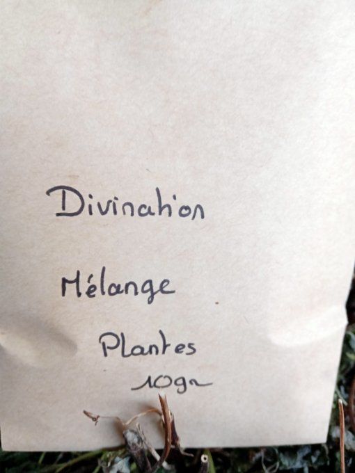 Mélange plantes divers 