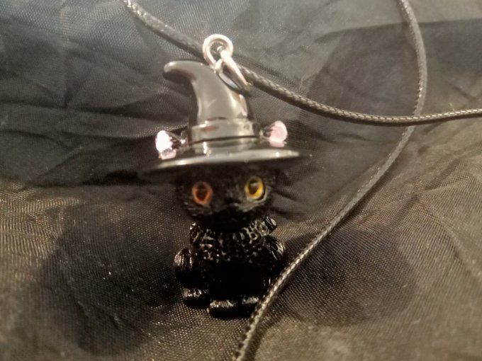 Collection chat noir chapeauté 