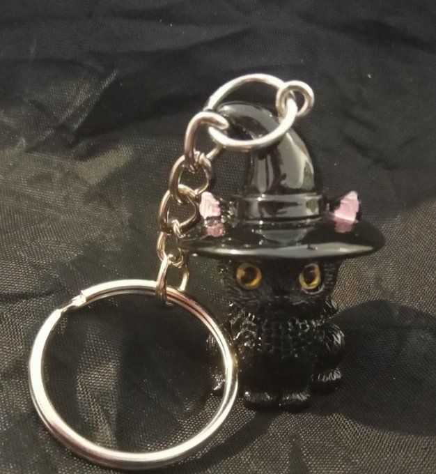 Collection chat noir chapeauté 