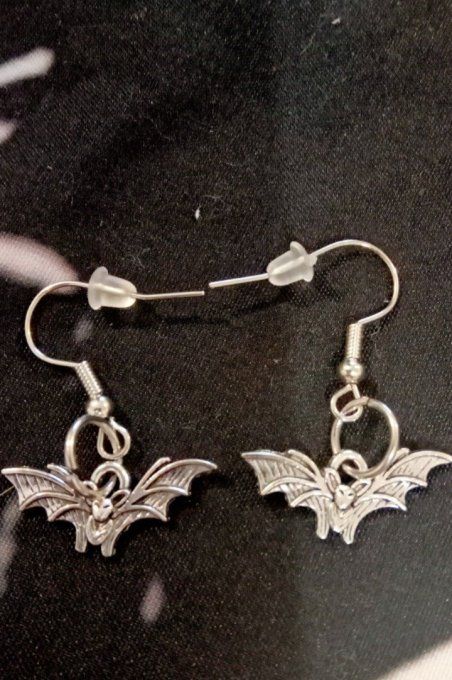 Boucles d'oreilles silver