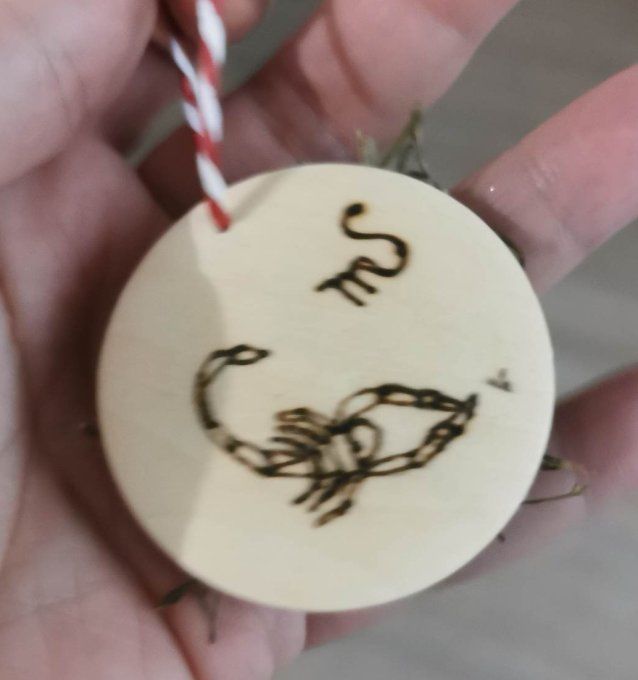 Médaillon Signe Astrologique
